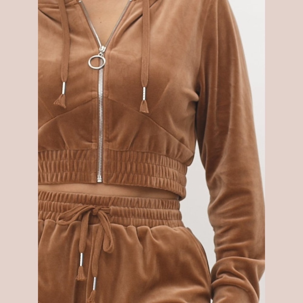 Brown Velour Jogger Set With Crop Hoodie - Picture 5 of 10